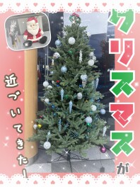 #クリスマスツリー飾りました！